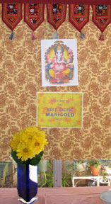 decor