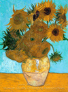 sun flowers